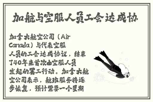 麻豆沈芯语空买房子时做无删减在线